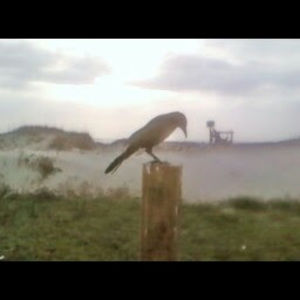 Meet your Posher, Mac